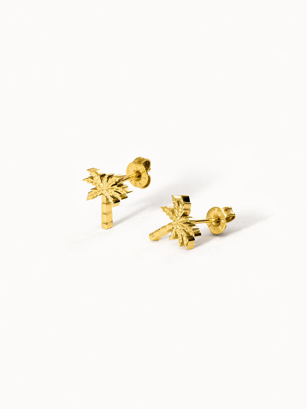 Boucles d'Oreilles Palm