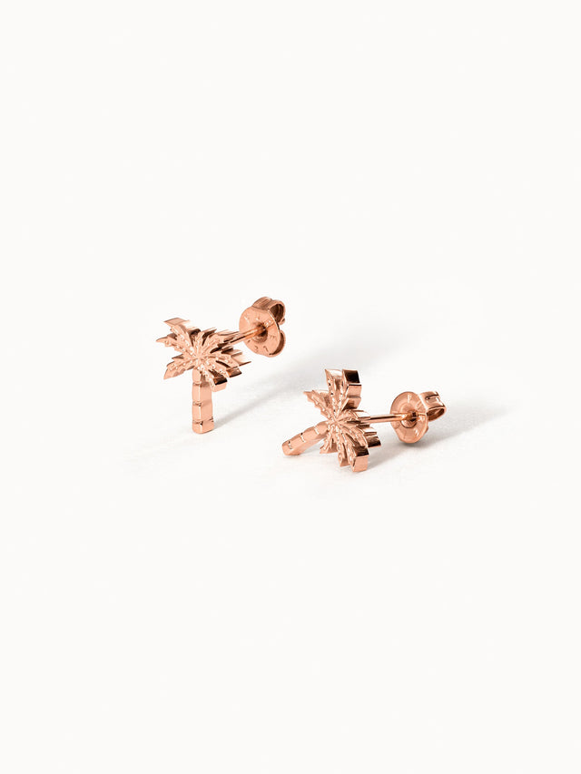 Boucles d'Oreilles Palm