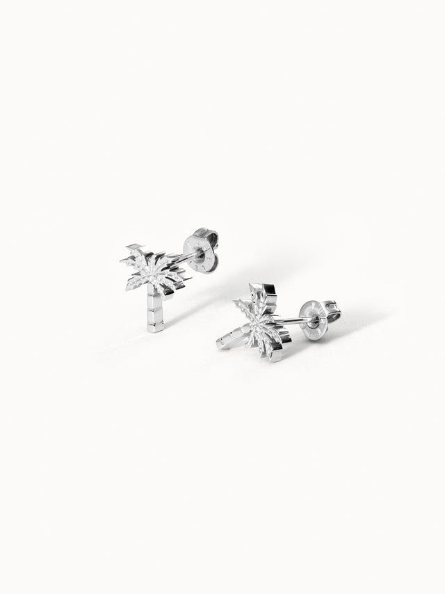 Boucles d'Oreilles Palm