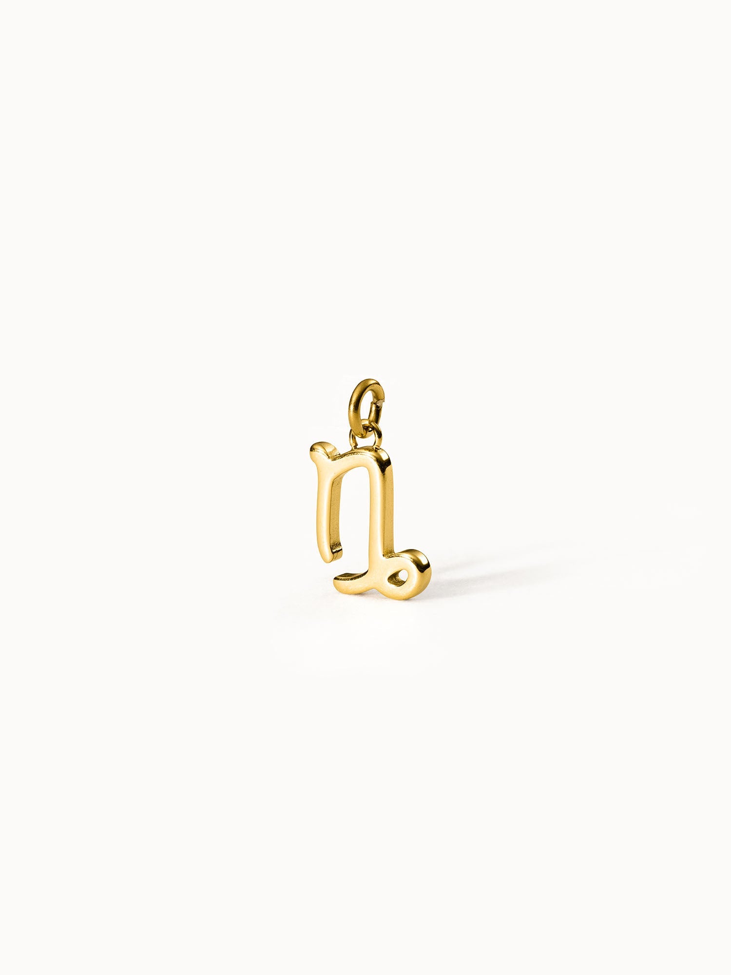 Capricorn Zodiac Charm