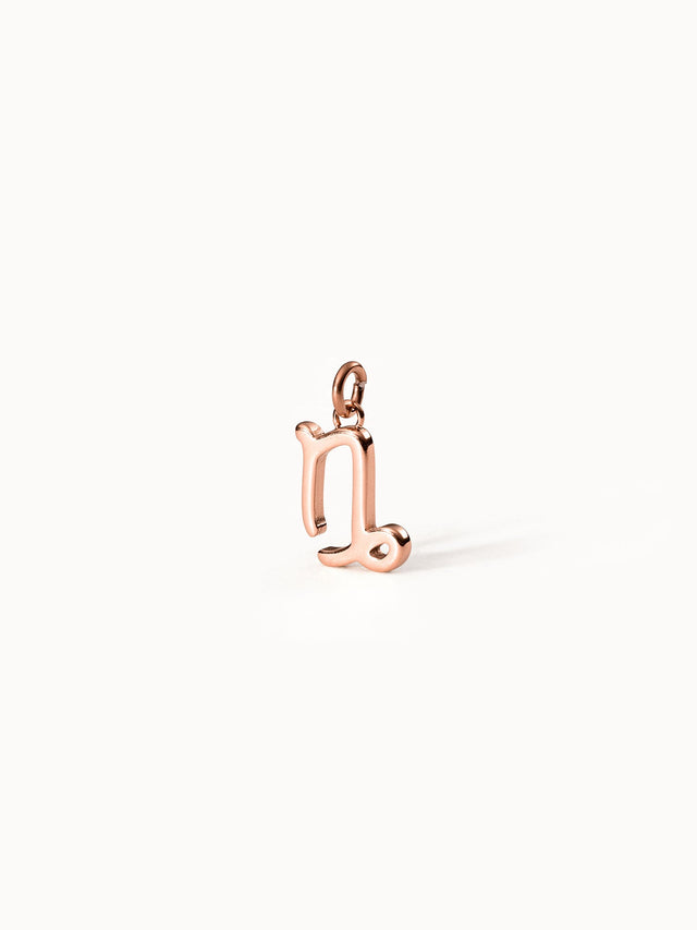Capricorn Zodiac Charm