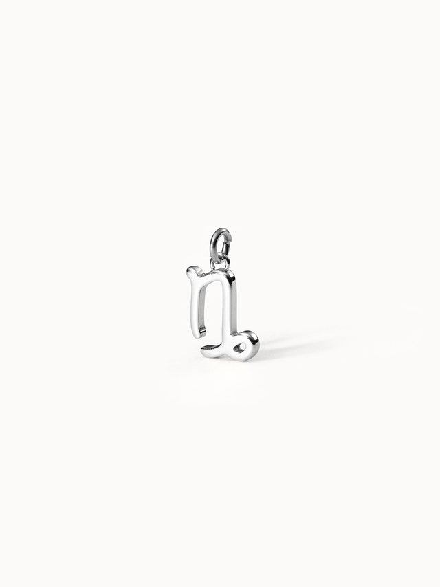 Capricorn Zodiac Charm