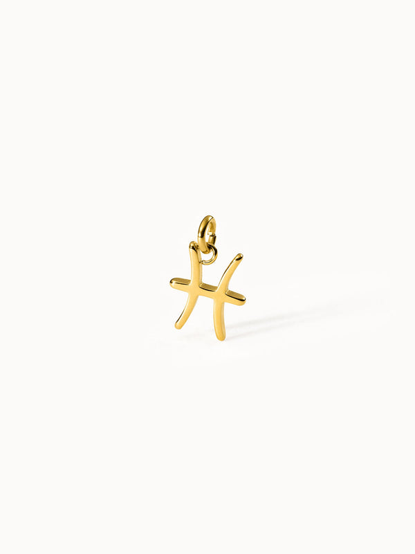 Charm Zodiac Pisces