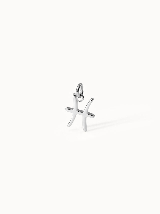 Pisces Zodiac Charm