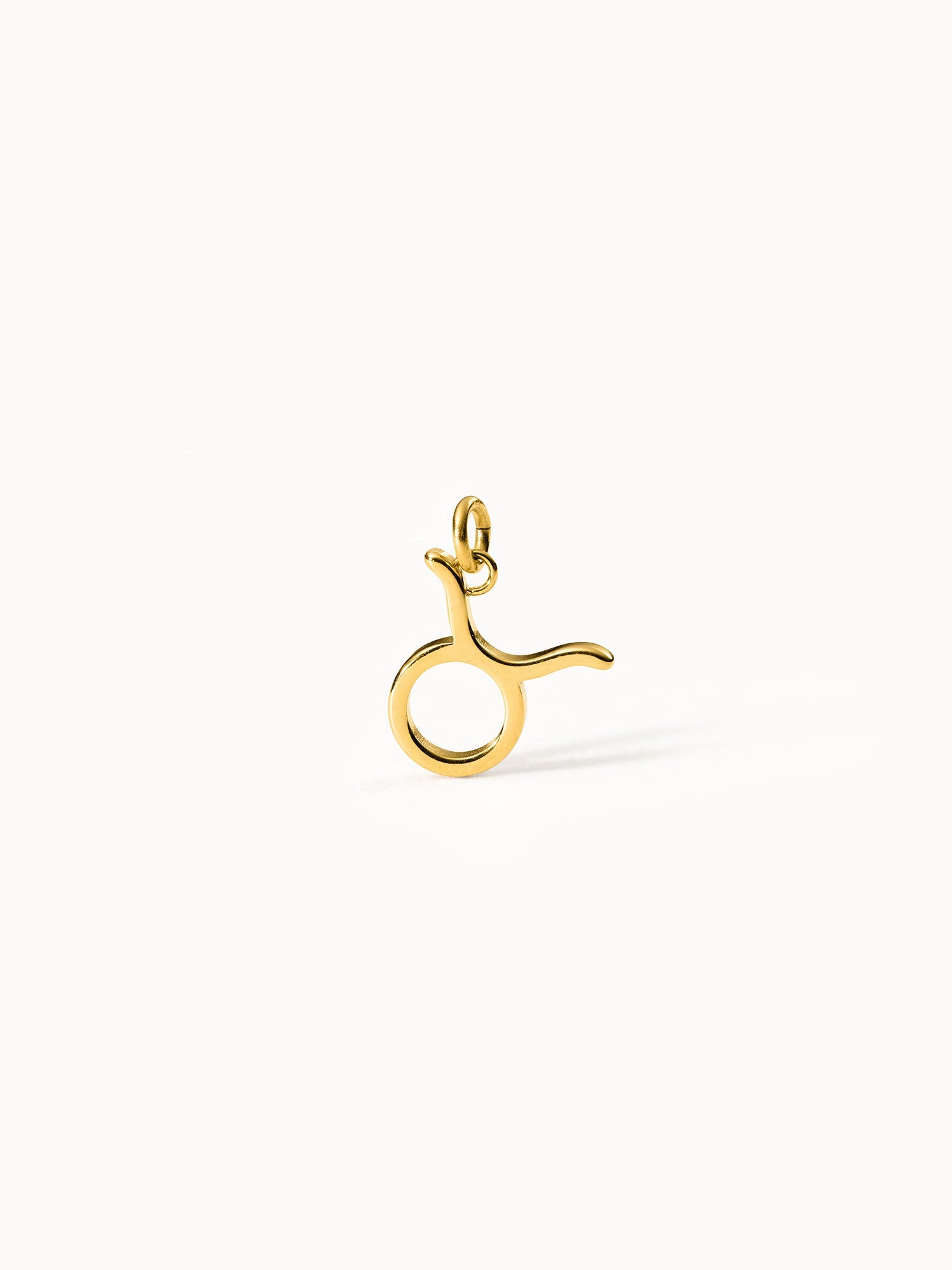 Charm Zodiac Taurus