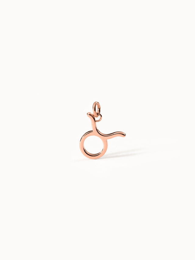 Charm Zodiac Taurus