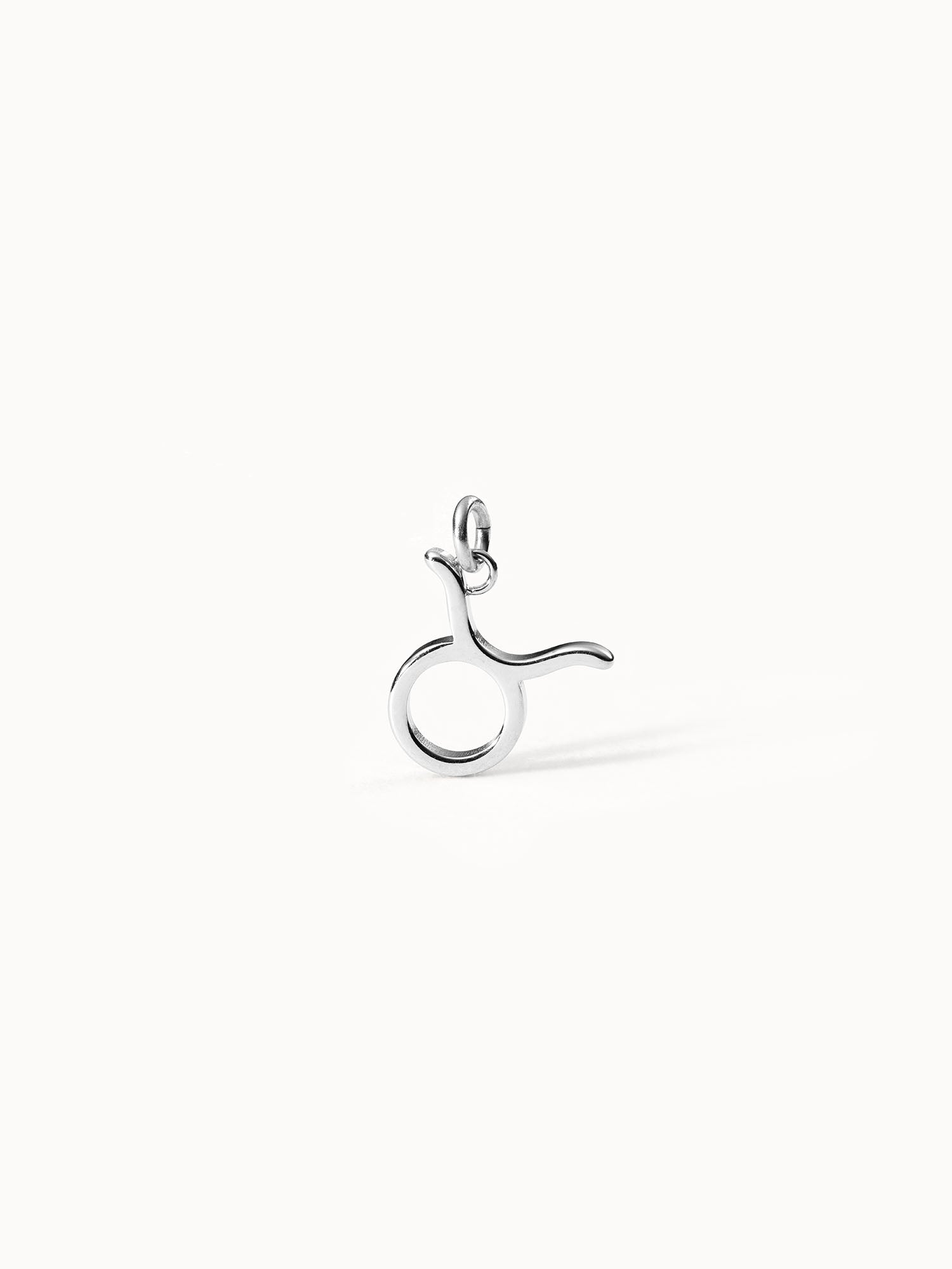 Charm Zodiac Taurus