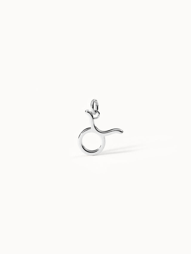 Charm Zodiac Taurus