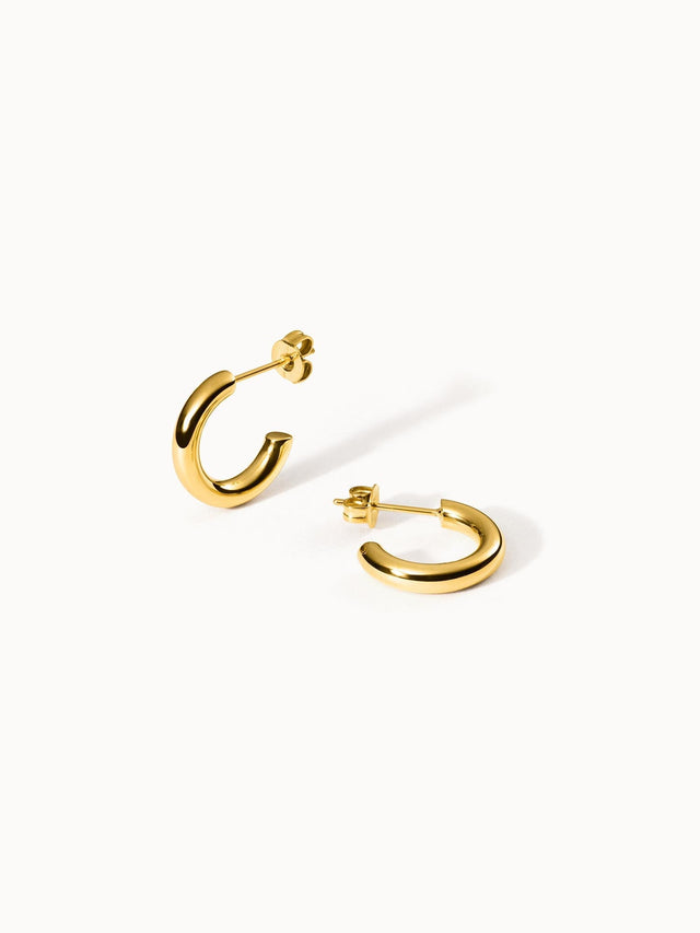 Brave Earring