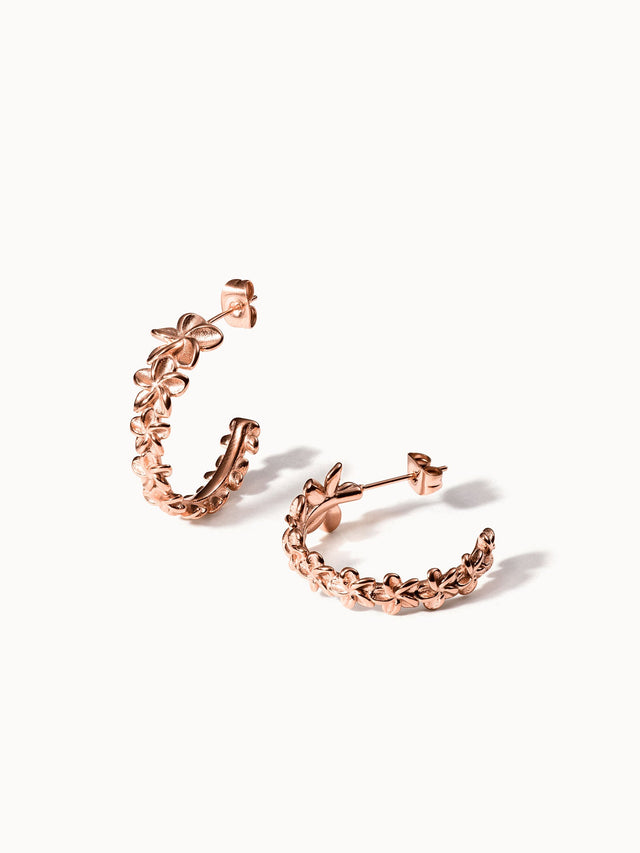 Boucles d'Oreilles Unity