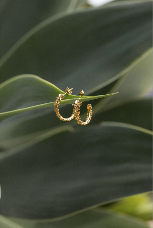 Boucles d'Oreilles Unity