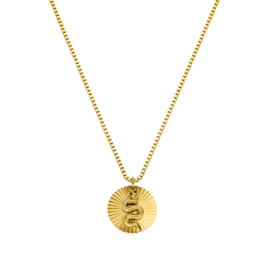 Collier Coin Snake