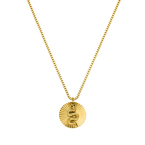 Collier Coin Snake