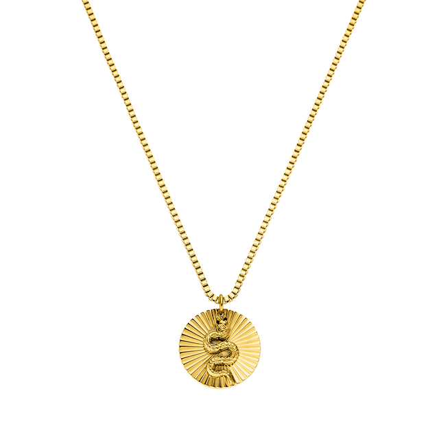 Collier Coin Snake