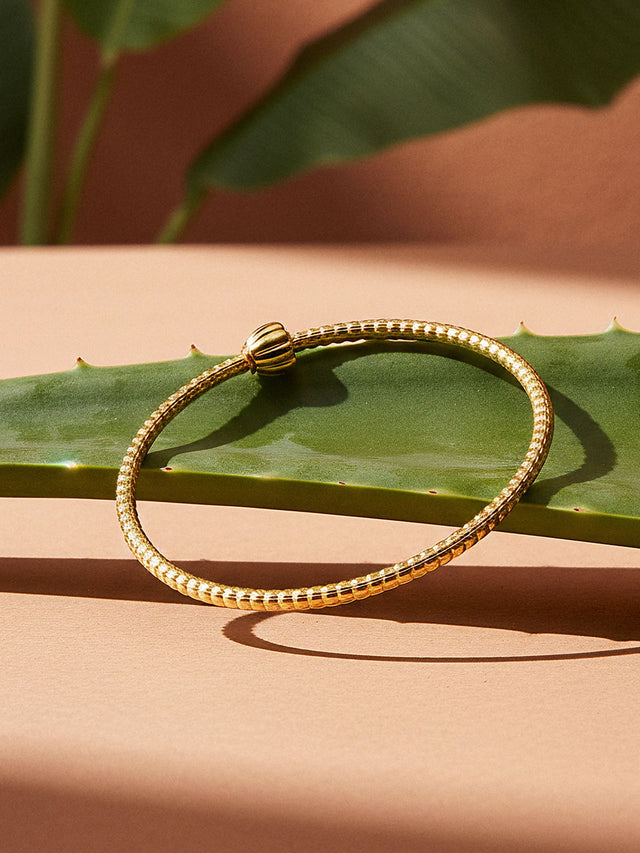 Lei Charm bangle with two stopper charms