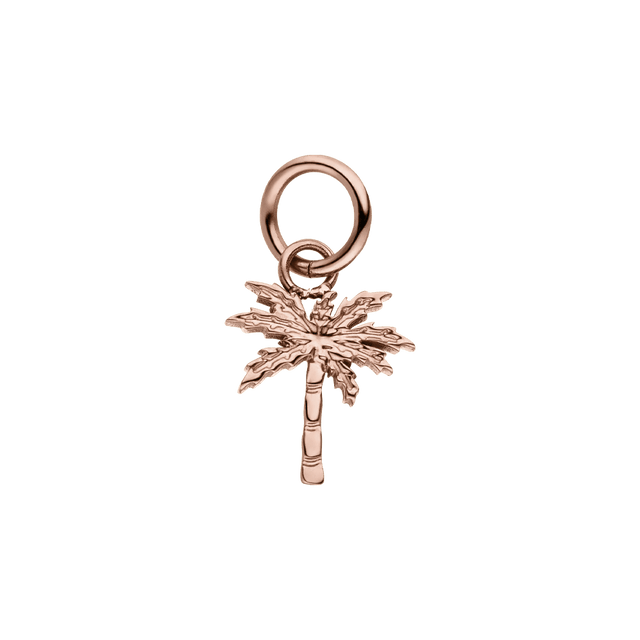 Charm Palm Tree