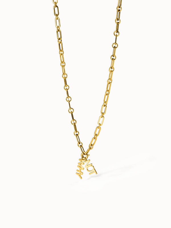 Why Not Necklace