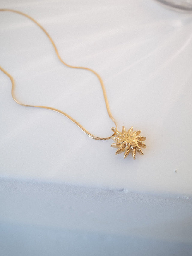 Filigrane PURELEI Iconic Sun Kette in 14K Gold mit strukturierter Sonnenanhänger auf hellem Hintergrund