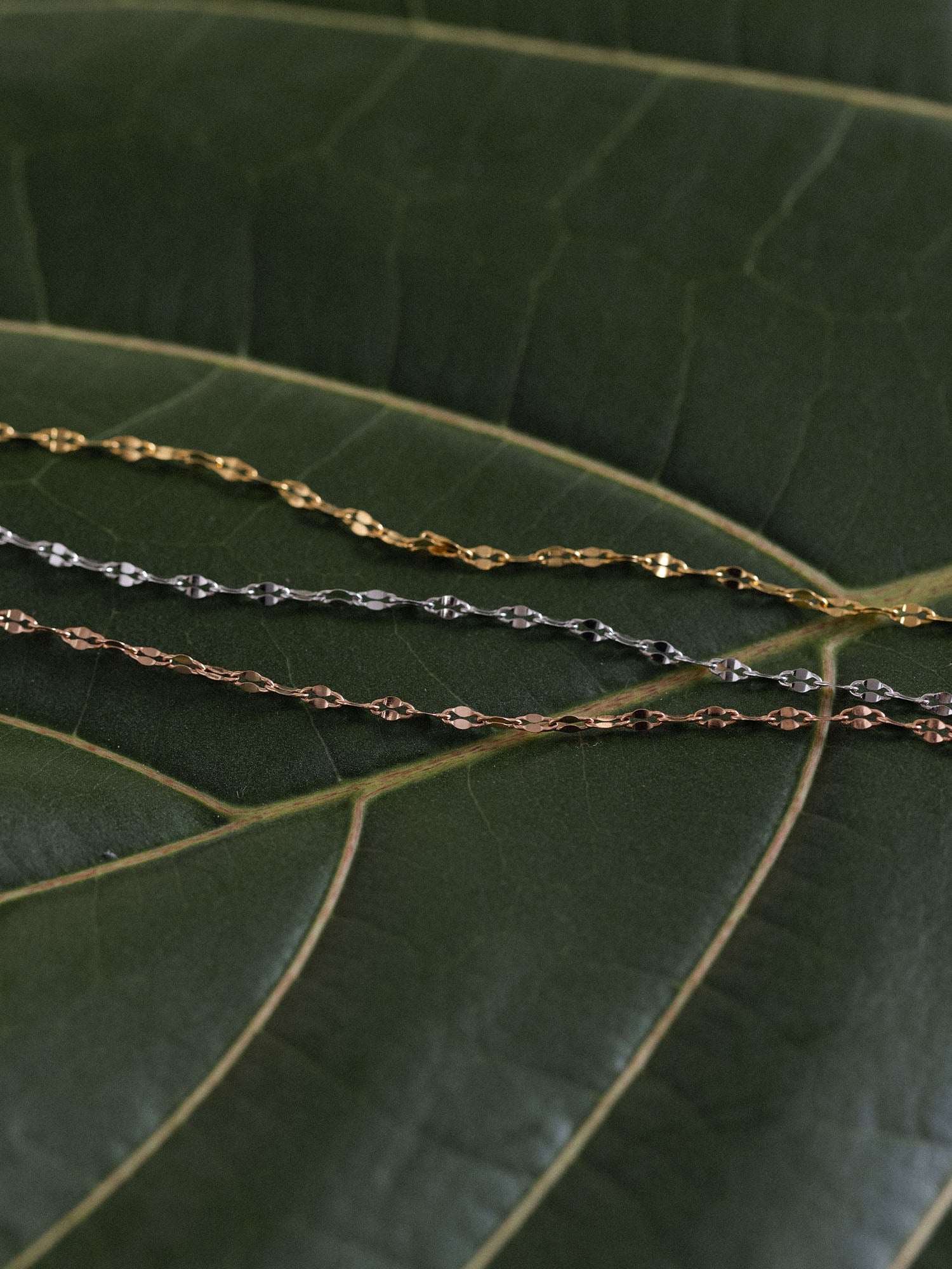 Drei filigrane Petal Ketten in Gold, Silber und Roségold auf grünem Blatt, elegant und lichtreflektierend, PURELEI.