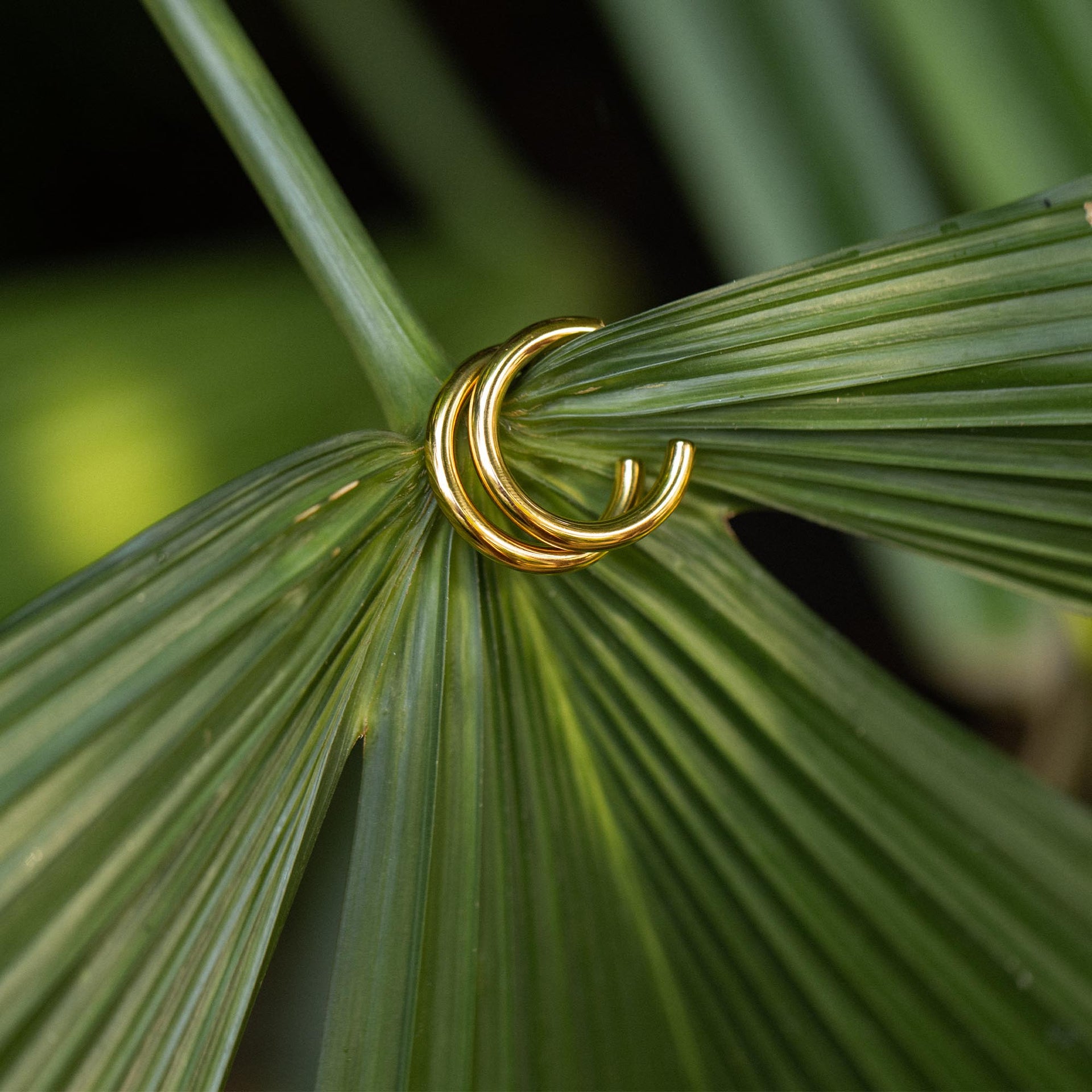 Kumu O Hoop Earring