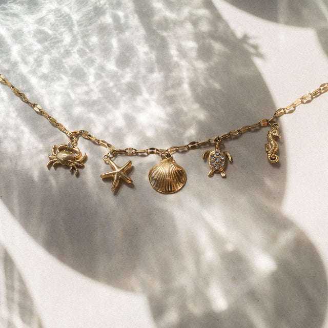 Collier Underwater World