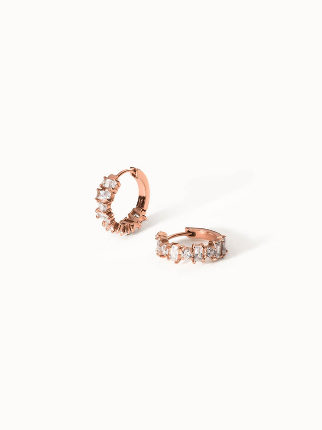 Chic Earring
