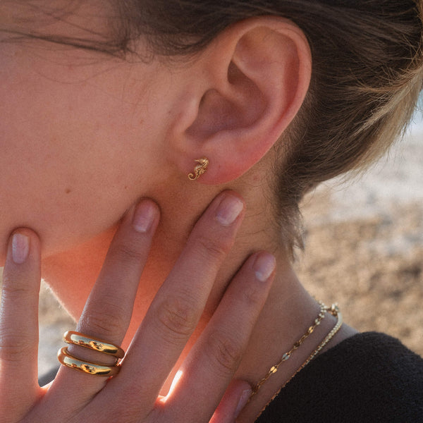 Seahorse Earring