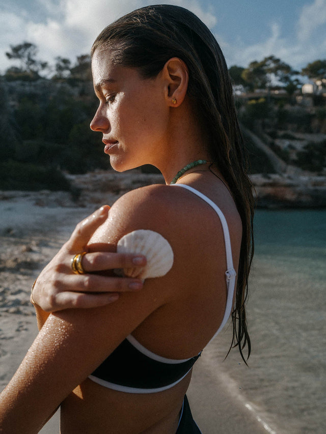 Sundial Shell Earring