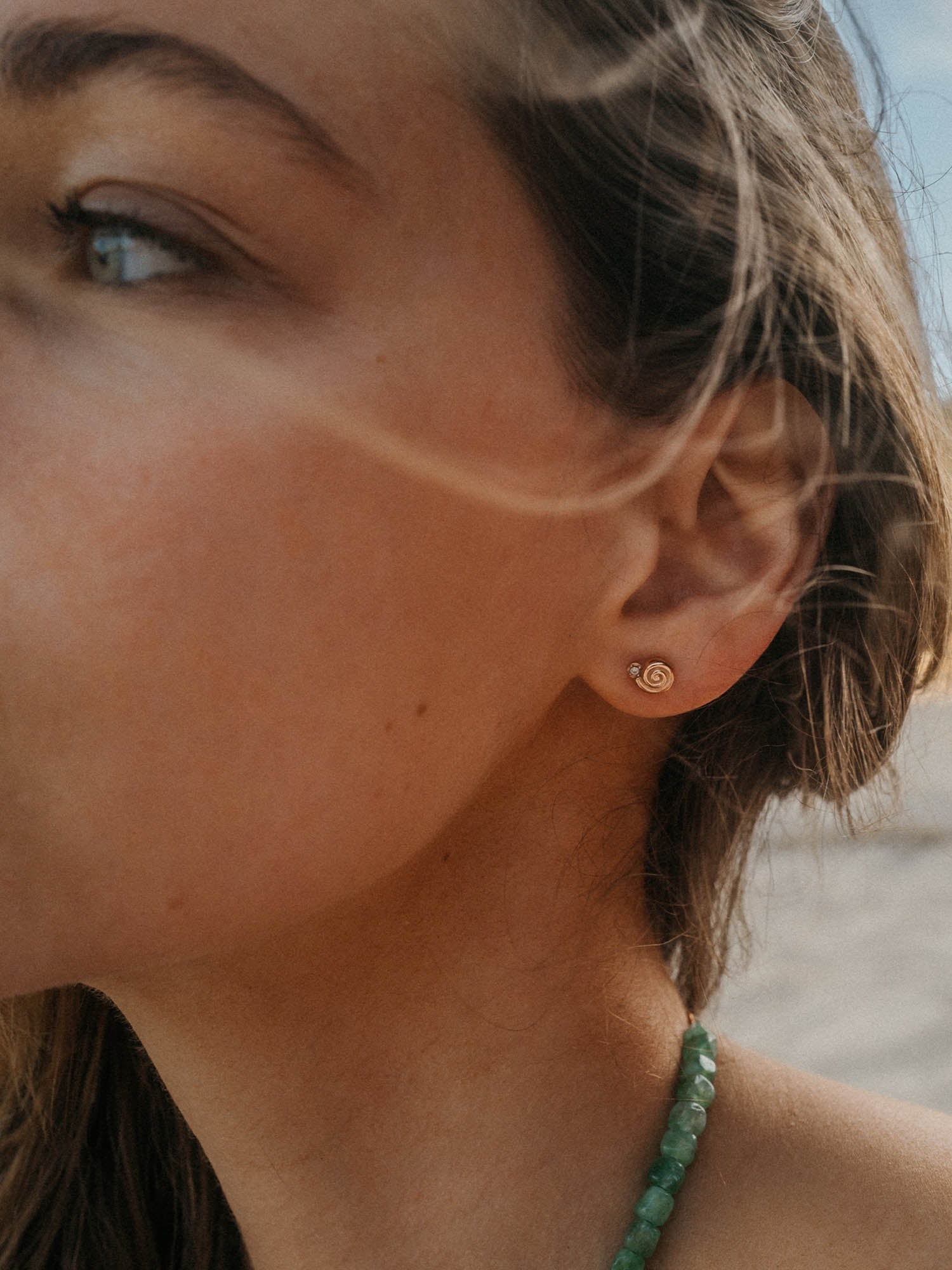 Sundial Shell Earring