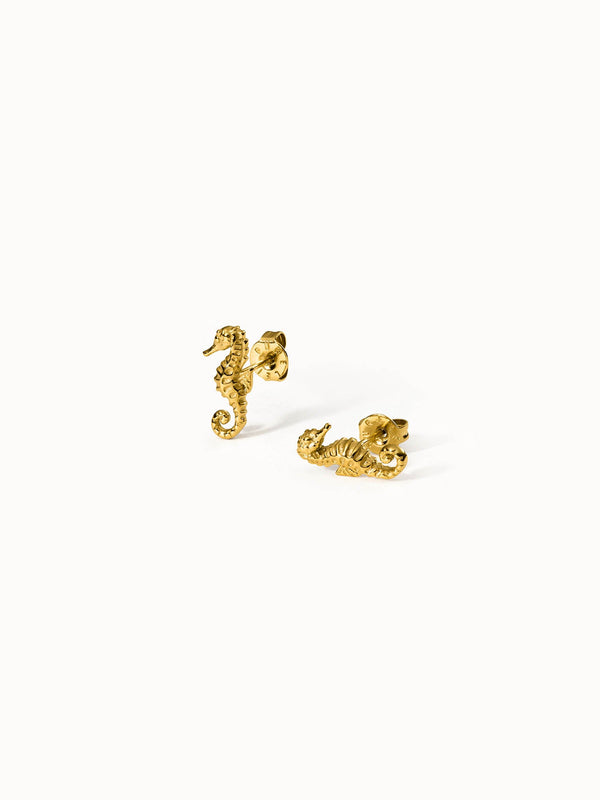 Seahorse Earring