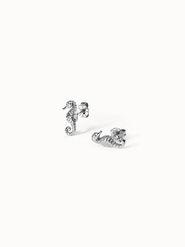 Seahorse Earring