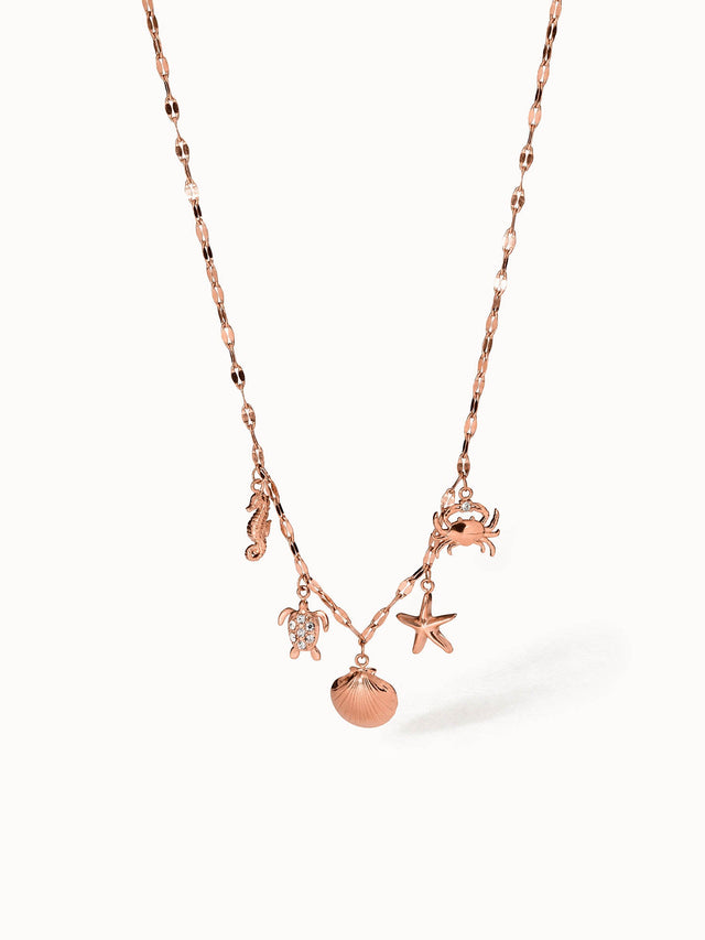 Collier Underwater World