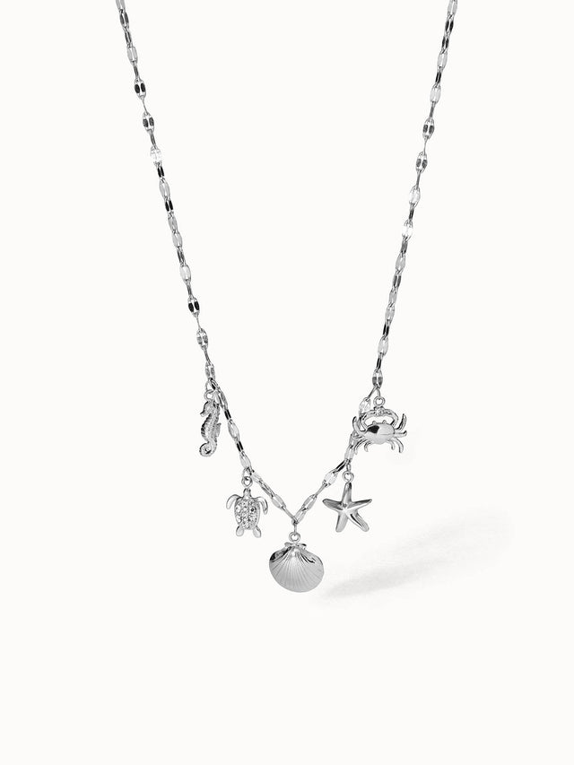 Collier Underwater World