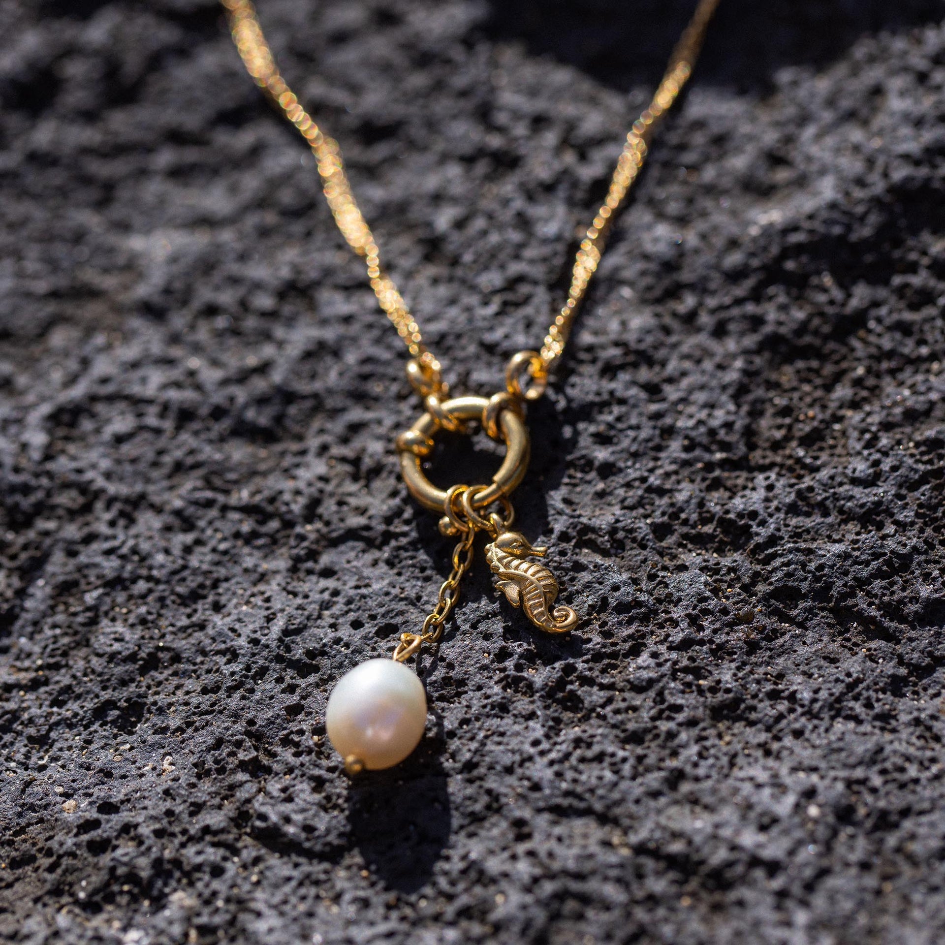 Charm Seahorse