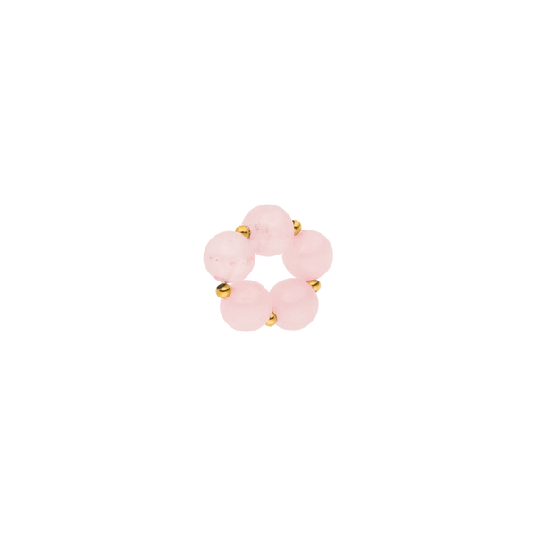 Charm Rose Flower