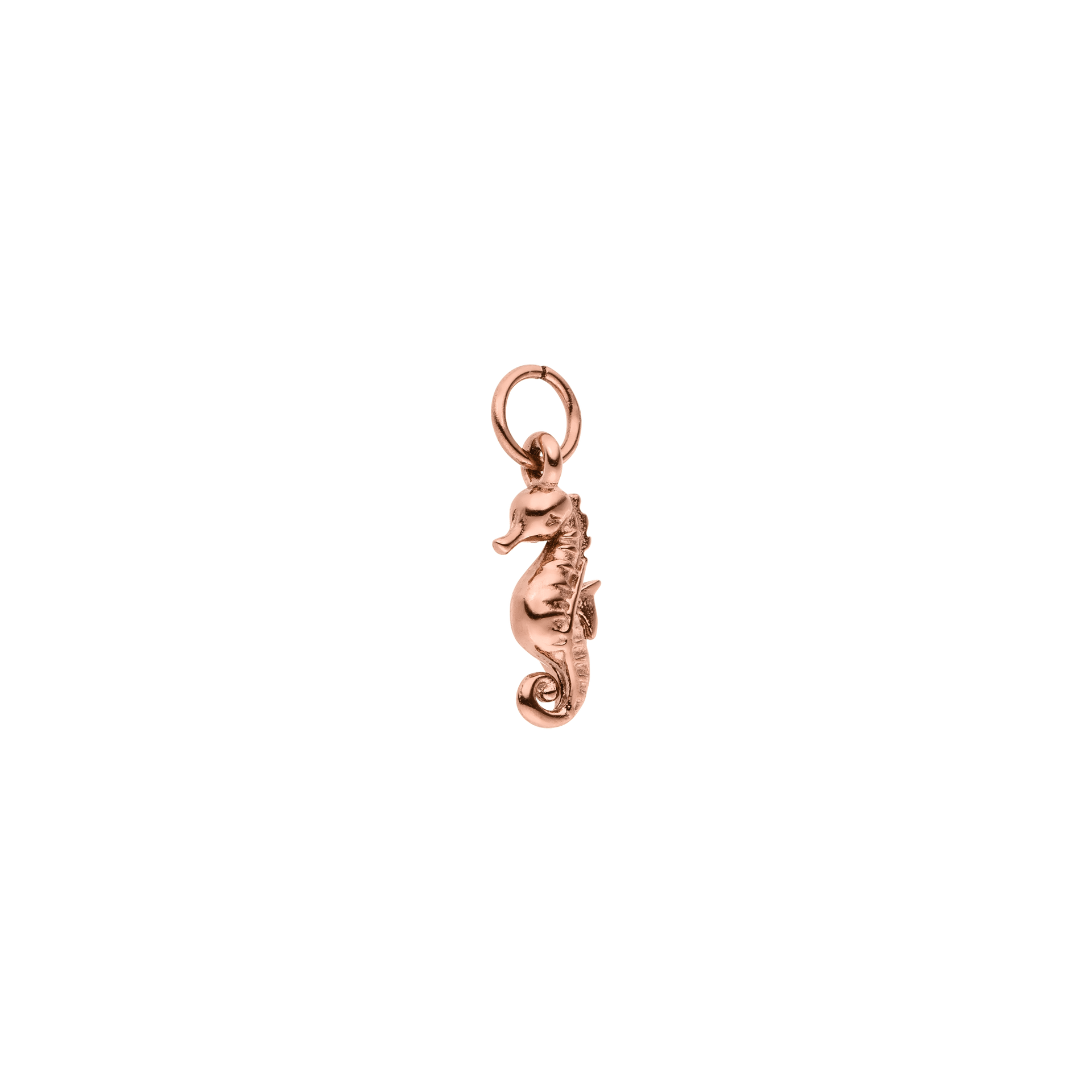 Charm Seahorse