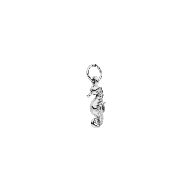 Charm Seahorse