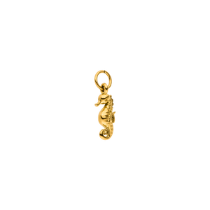 Charm Seahorse