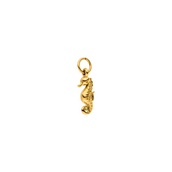 Charm Seahorse