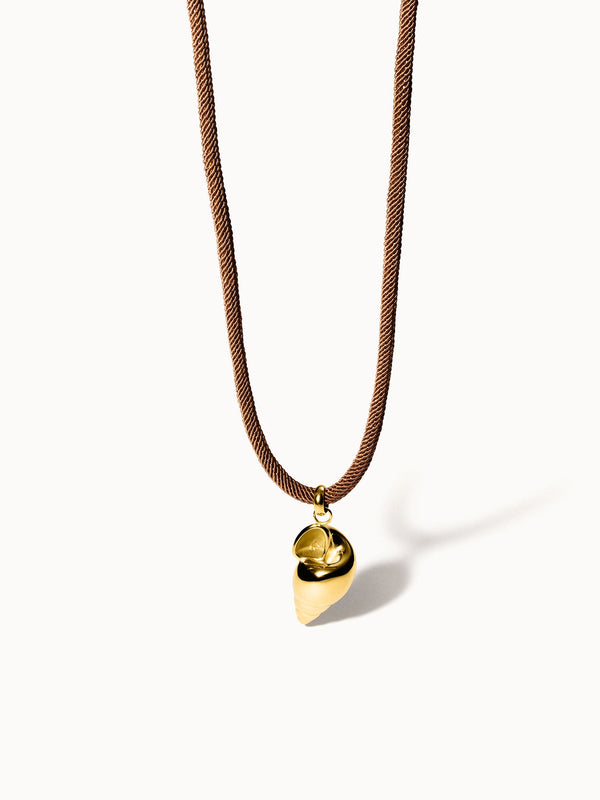 Collier Oceanside