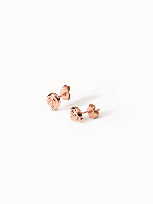 Sundial Shell Earring