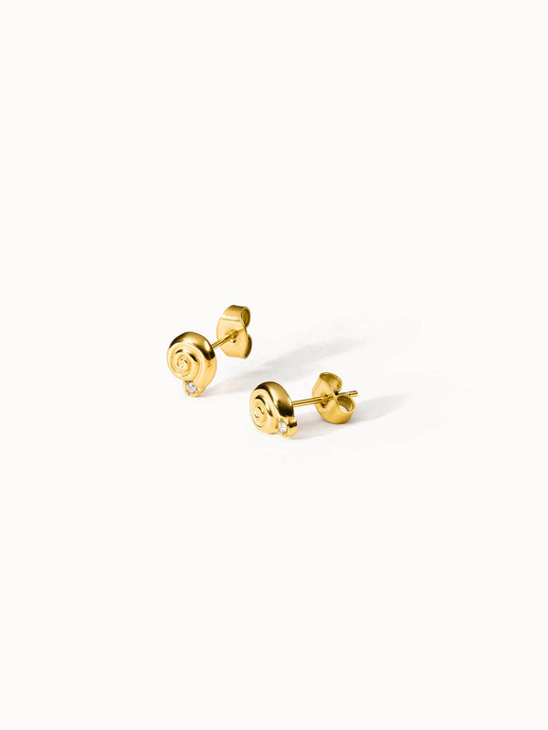 Sundial Shell Earring