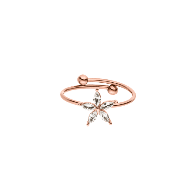 Bright Spring Ring
