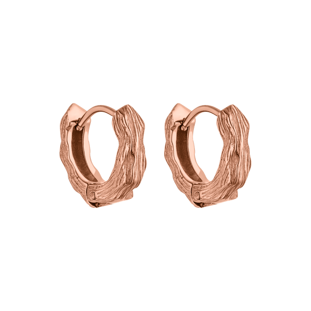 Boucles d'Oreilles Brushed