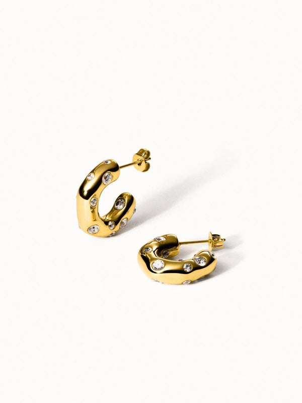 Life Earrings - INT PURELEI