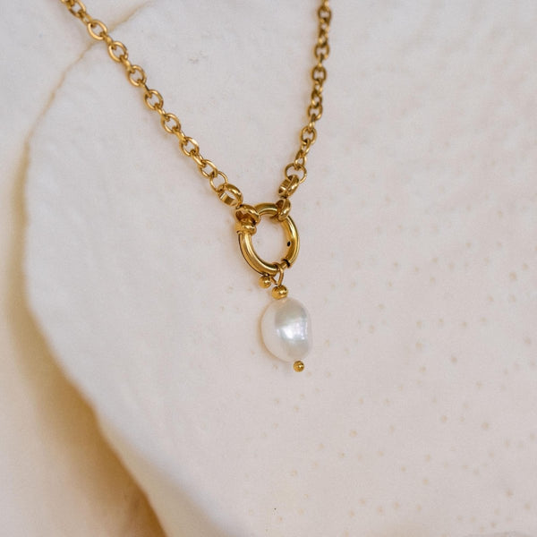 Shimmering Charm - INT PURELEI