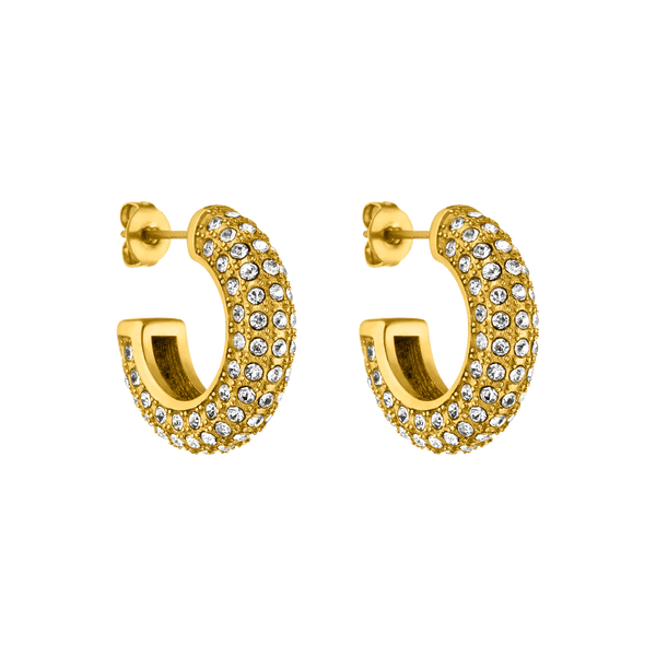 Boucles d'Oreilles Big Glitter