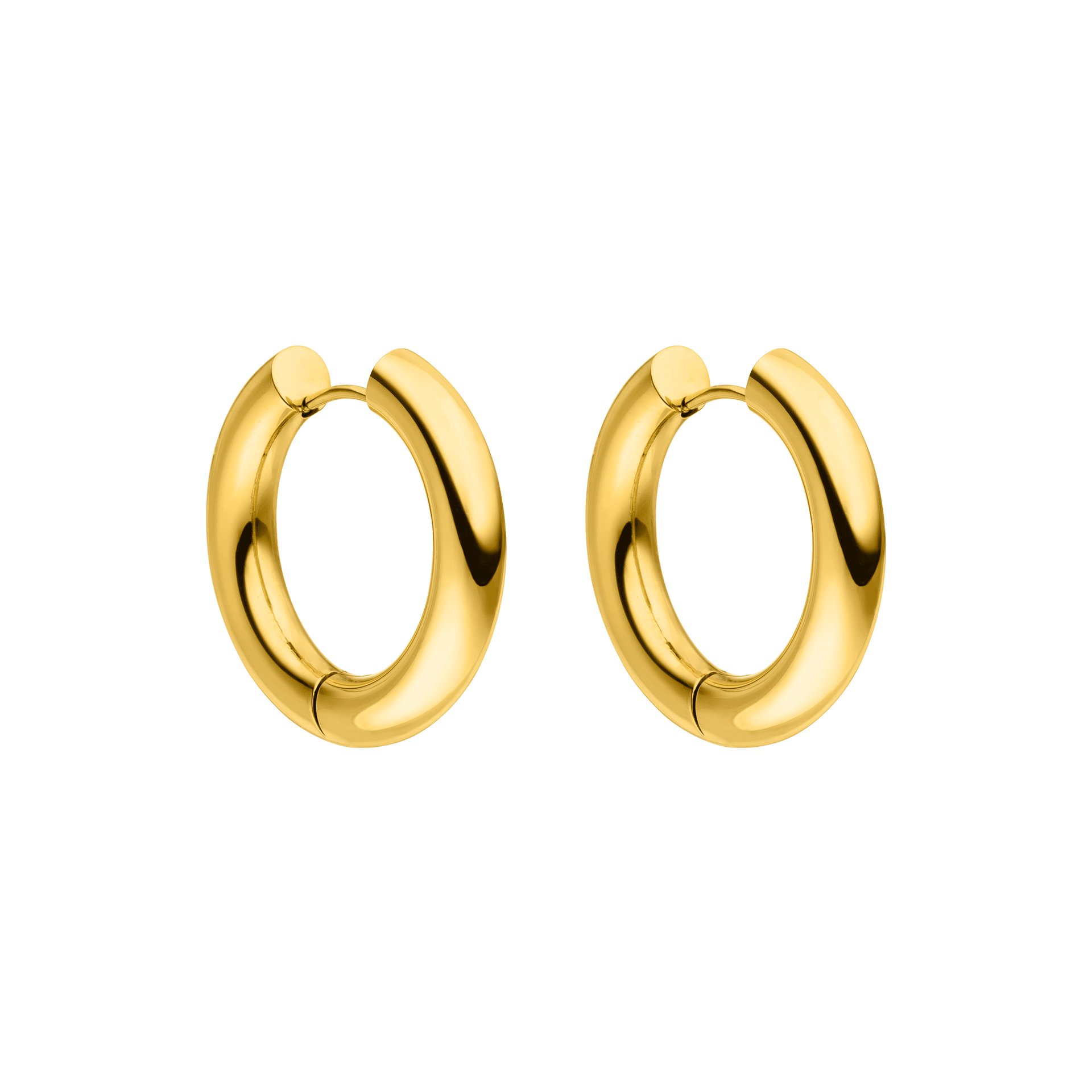 Glamorous Earring