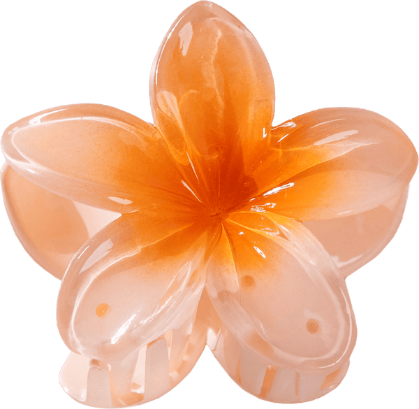 Barrette Lotus