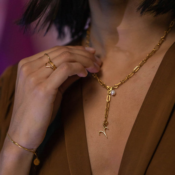 Charm Zodiac Aries